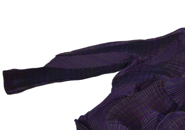 ISSEY MIYAKE 3D Steam Stretch Pleated Stripe Jacket & Skirt K-171580_007