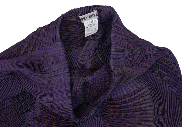 ISSEY MIYAKE 3D Steam Stretch Pleated Stripe Jacket & Skirt K-171580_015