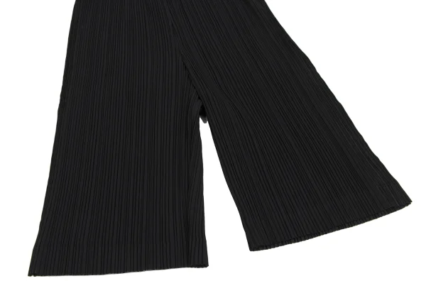 ISSEY MIYAKE Pleats Side Switching Shorts K-171647_004