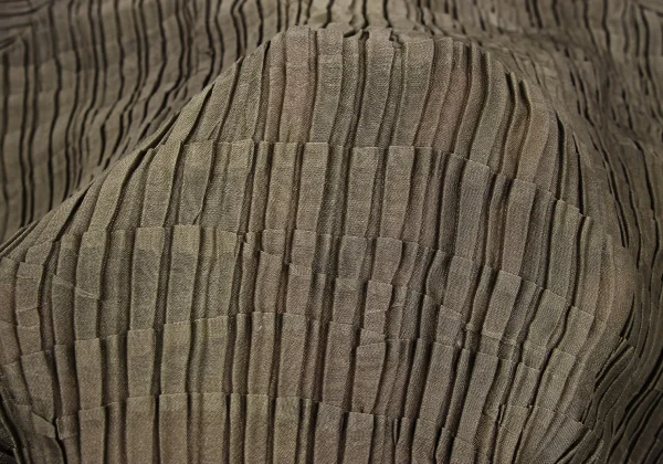 ISSEY MIYAKE Pleated T-shirt K-171792_009