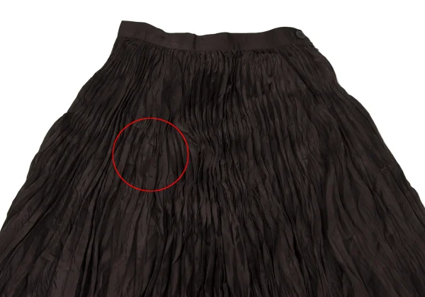 ISSEY MIYAKE Pleated Flare Skirt K-171796_003