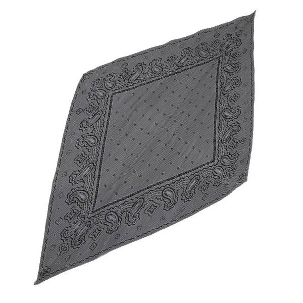 ISSEY MIYAKE Paisley Print Diamond Pleated Stole Grey  K-171799_001