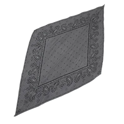 ISSEY MIYAKE Paisley Print Diamond Pleated Stole