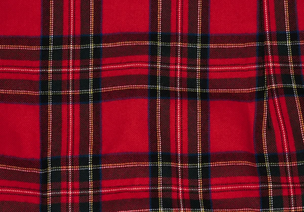 COMME des GARCONS HOMME PLUS Wool Checker Long Sleeve Shirt K-171889_012
