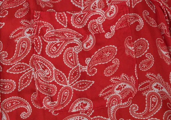 COMME des GARCONS Paisley Print Round-Collar Cupro Shirt Dress K-172078_006