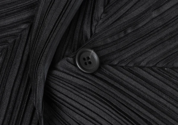 ISSEY MIYAKE Pleats Shawl Collar Coat K-172107_009