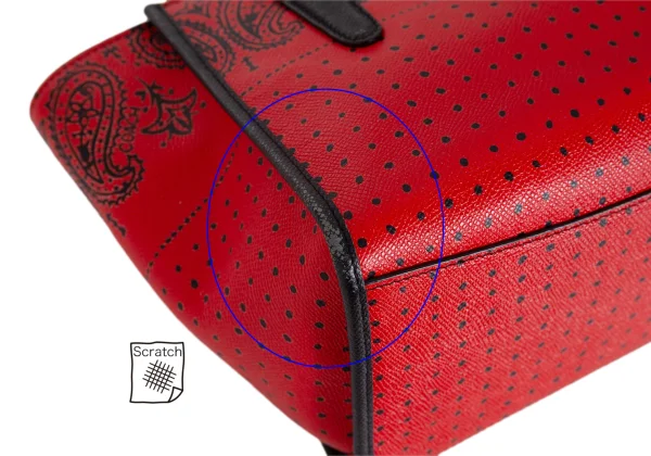 COACH Paisley Dot Printed 2way Leather Bag K-172216_007