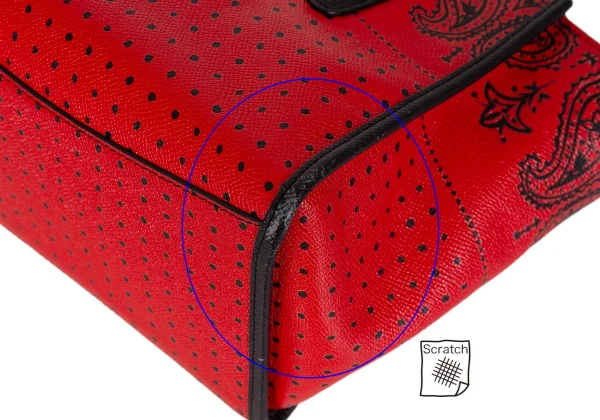 COACH Paisley Dot Printed 2way Leather Bag K-172216_008