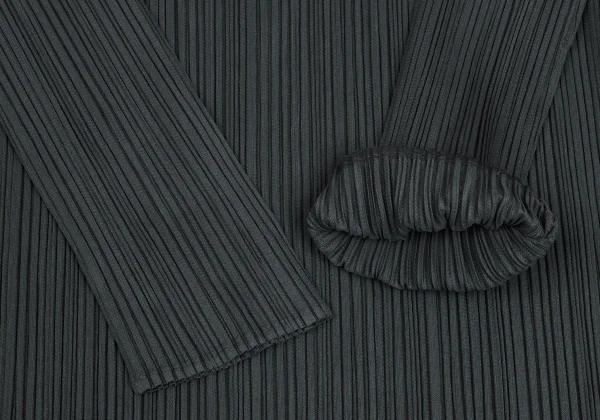 PLEATS PLEASE Pleated High-neck Long Sleeve Top K-172448_006