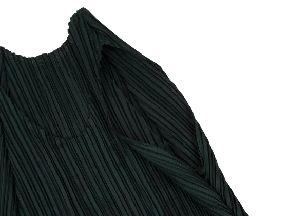 ISSEY MIYAKE FETE A-POC Jacquard Permanent Pleats Gradation Dress K-172521_005