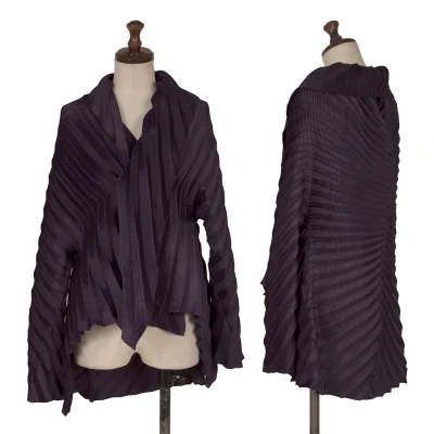 ISSEY MIYAKE Pleated Shawl Collar Jacket