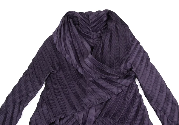 ISSEY MIYAKE Pleated Shawl Collar Jacket K-172621_003