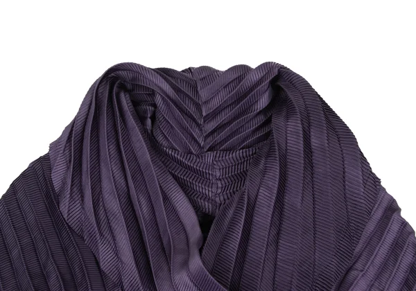 ISSEY MIYAKE Pleated Shawl Collar Jacket K-172621_004