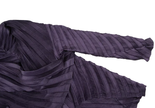 ISSEY MIYAKE Pleated Shawl Collar Jacket K-172621_005