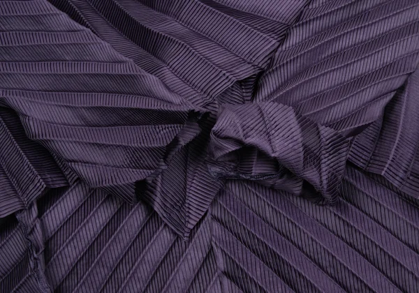 ISSEY MIYAKE Pleated Shawl Collar Jacket K-172621_006