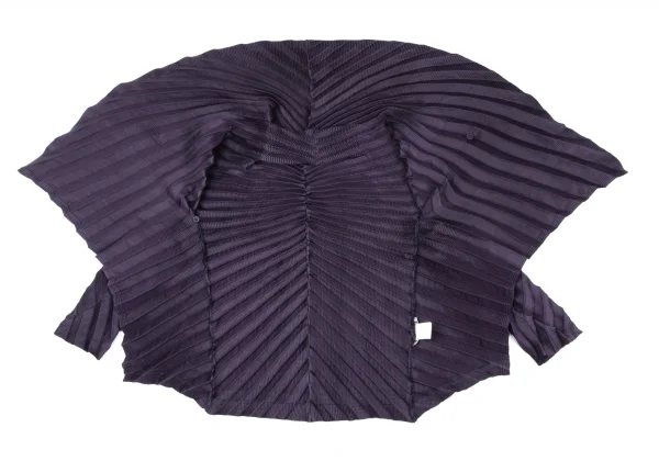 ISSEY MIYAKE Pleated Shawl Collar Jacket K-172621_011