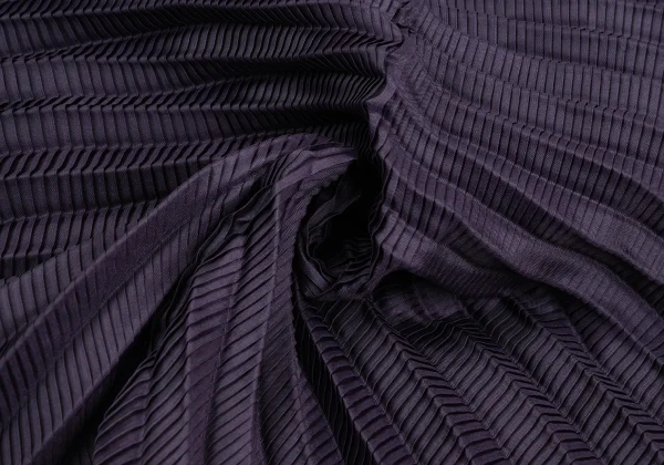ISSEY MIYAKE Pleated Shawl Collar Jacket K-172621_014