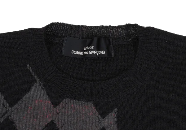 tricot COMME des GARCONS Check Print Knit Sweater K-172801_004