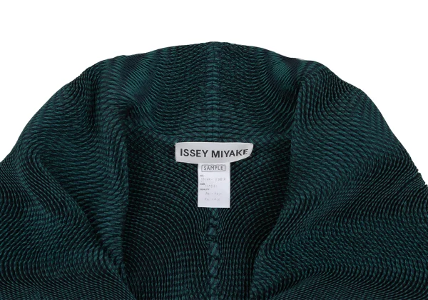 ISSEY MIYAKE 3D Steam Stretch Pleated Stripe Double Jacket K-173035_004