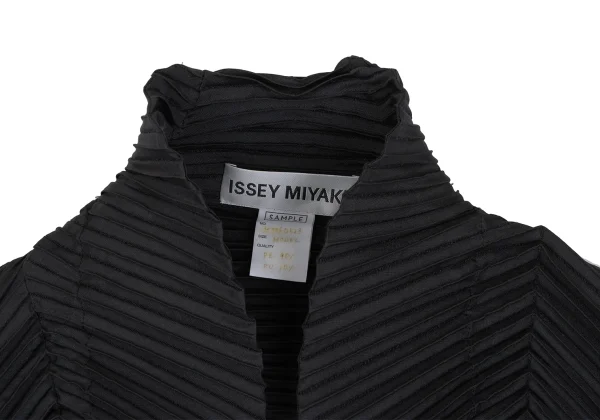 ISSEY MIYAKE 3D Steam Stretch Pleats Panel Switching Dolman Short Jacket K-173036_004