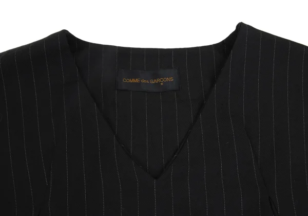 COMME des GARCONS Hem Switching Pin Stripe Dart Vest K-173401_005