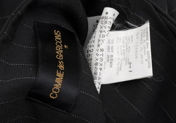 COMME des GARCONS Hem Switching Pin Stripe Dart Vest K-173401_015
