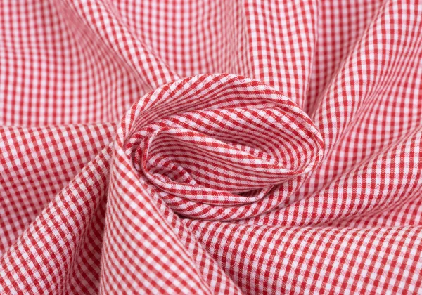 Mademoiselle NON NON Cotton Cupta Pin Tuck Check Shirt K-173418_014