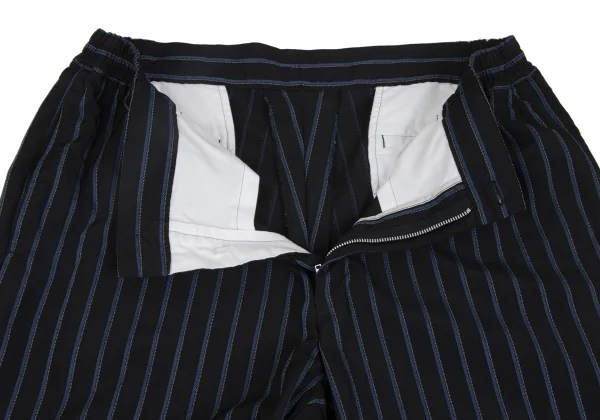 COMME des GARCONS HOMME DEUX Poly Stripe Tapered Pants K-173466_006