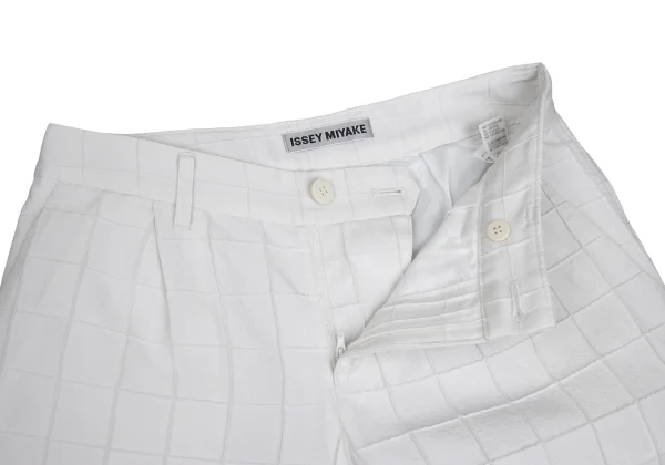 ISSEY MIYAKE Grid Weave Tapered Pants K-173663_005