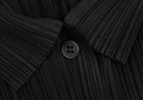 PLEATS PLEASE Pleated Long Sleeve Shirt K-173724_004