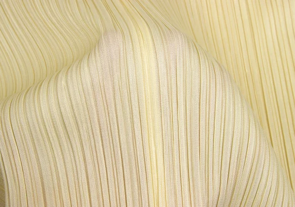 PLEATS PLEASE Pleated Long Sleeve Shirt K-173726_011