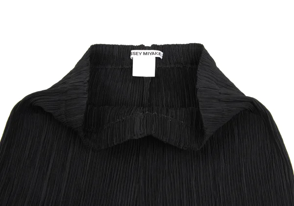 ISSEY MIYAKE Pleated Straight Pants K-173731_003