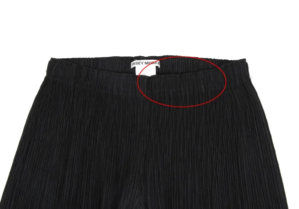 ISSEY MIYAKE Pleated Wide Pants K-173732_002