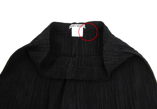 ISSEY MIYAKE Pleated Wide Pants K-173732_004