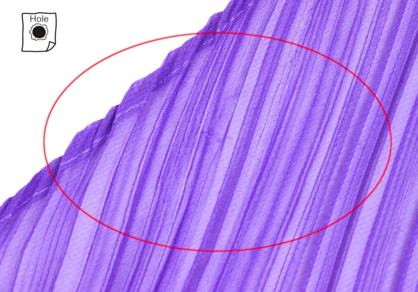 Unbranded Pleated Sheer Stole K-173733_003