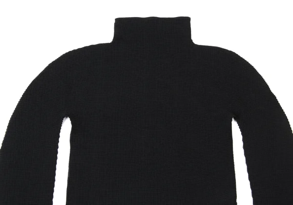 ISSEY MIYAKE me Stretch Pleated High Neck Long Sleeve Top K-173739_003