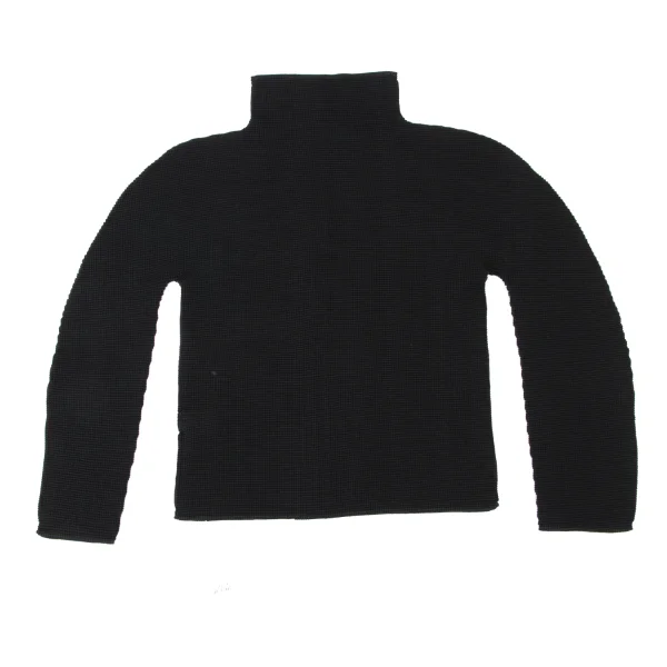 ISSEY MIYAKE me Stretch Pleated High Neck Long Sleeve Top K-173739_009
