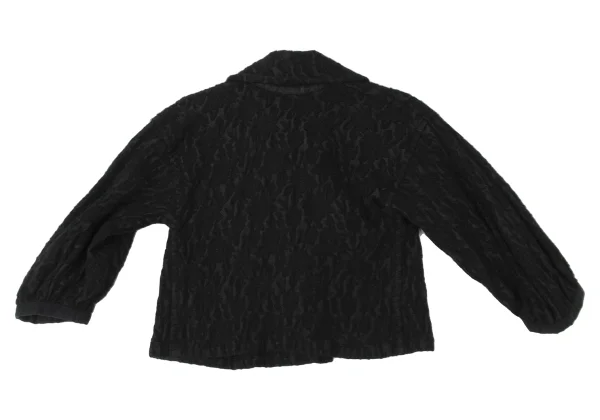 tricot COMME des GARCONS Brushed Floral Embroidery Pintuck Design Short Jacket K-173755_012