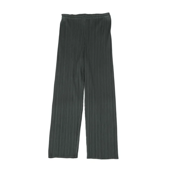 PLEATS PLEASE Straight Pants Grey 4 K-173880_001