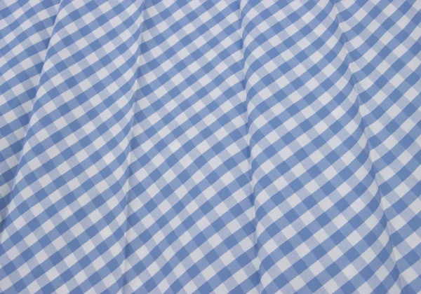 JUNYA WATANABE COMME des GARCONS Poly Cotton Gingham Check Pleated Skirt K-173931_013