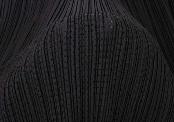 ISSEY MIYAKE Hem Cutting Mesh Switching Pleated Skirt K-174131_013