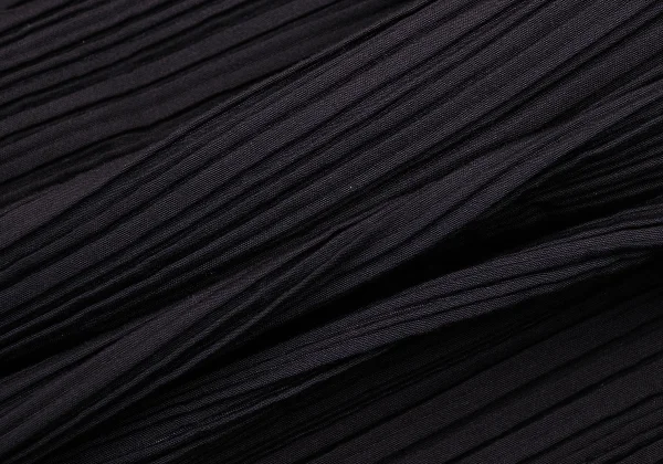 ISSEY MIYAKE Hem Cutting Mesh Switching Pleated Skirt K-174131_014