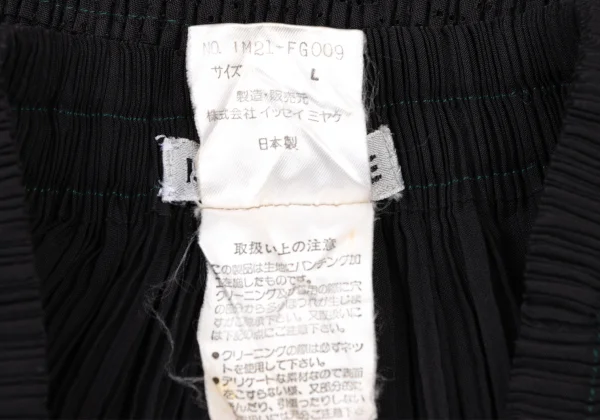 ISSEY MIYAKE Hem Cutting Mesh Switching Pleated Skirt K-174131_015