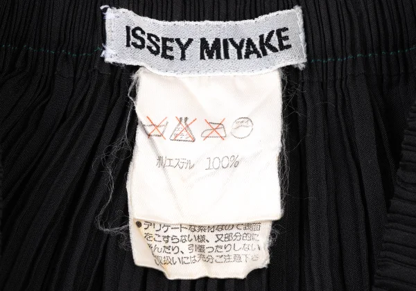 ISSEY MIYAKE Hem Cutting Mesh Switching Pleated Skirt K-174131_016