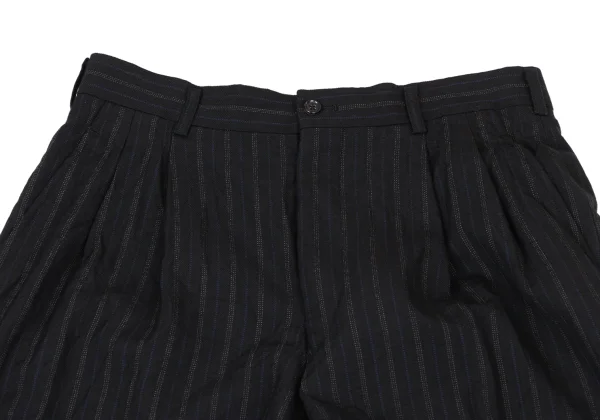 COMME des GARCONS HOMME PLUS Bleached Hem Wool Stripe Twu Tuck Pants K-174181_003