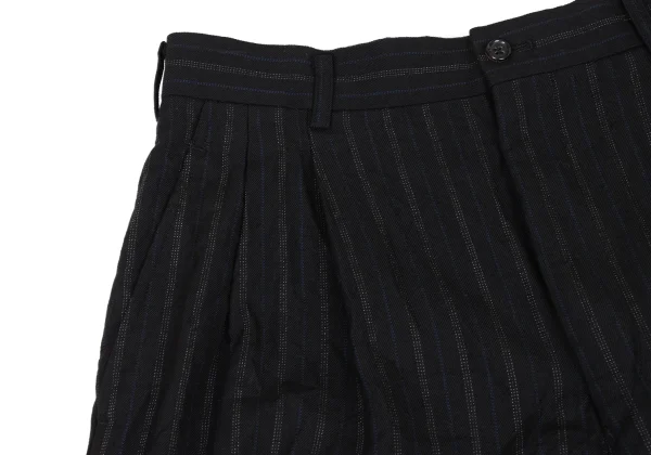 COMME des GARCONS HOMME PLUS Bleached Hem Wool Stripe Twu Tuck Pants K-174181_004