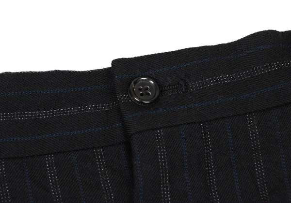 COMME des GARCONS HOMME PLUS Bleached Hem Wool Stripe Twu Tuck Pants K-174181_006