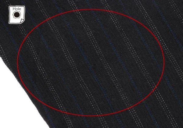 COMME des GARCONS HOMME PLUS Bleached Hem Wool Stripe Twu Tuck Pants K-174181_013