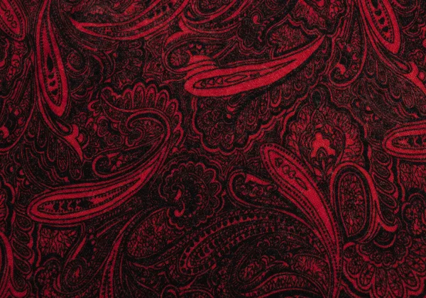 COMME des GARCONS Wool Paisley Print Long-sleeve Top K-174267_015