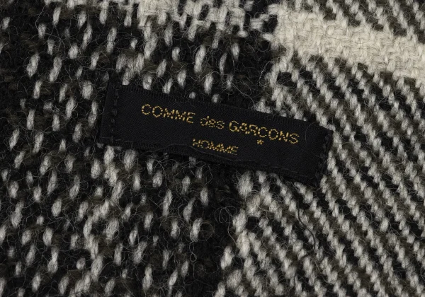 COMME des GARCONS HOMME Checked Fringe Scarf K-174399_005